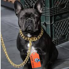 Dog Chain